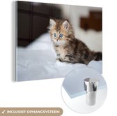 MuchoWow® Glasschilderij 150x100 cm - Schilderij acrylglas - Schattige Perzische kitten - Foto op glas - Schilderijen