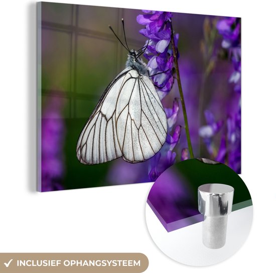 MuchoWow® Glasschilderij 120x80 cm - Schilderij acrylglas - Groot geaderd witje vlinder op een bloem - Foto op glas - Schilderijen