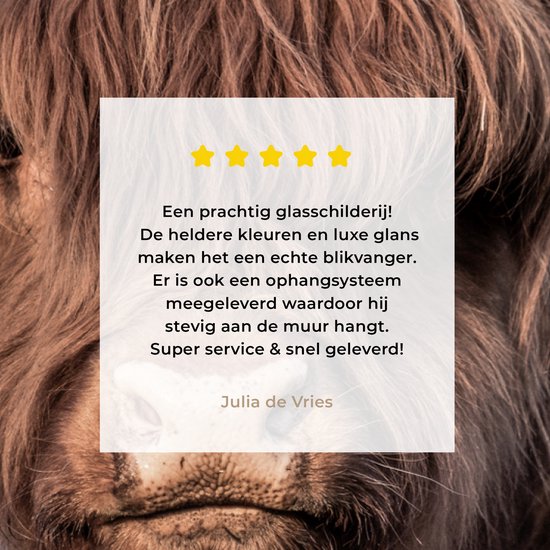 Close-up van een bruine Schotse hooglander met een review van Julia de Vries.