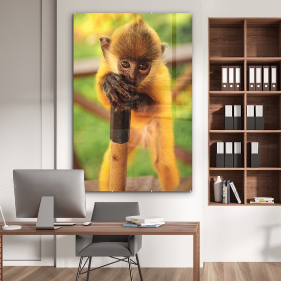 MuchoWow® Peinture sur verre 120x180 cm - Peinture sur verre acrylique - Portrait coloré d'un bébé singe - Garçons - Filles - Enfants - Enfant - Photo sur verre - Peintures
