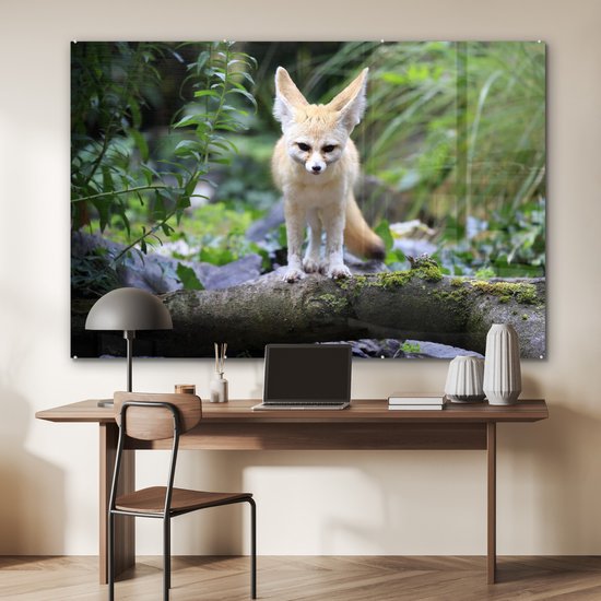 MuchoWow® Peinture sur verre 150x100 cm - Peinture sur verre acrylique - Renard - Branche - Nature - Photo sur verre - Peintures