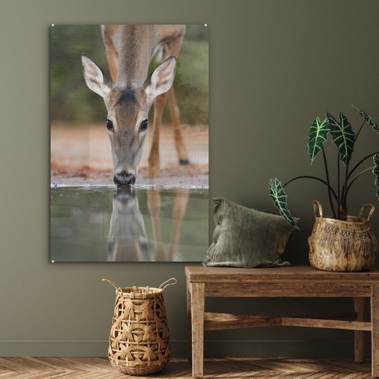MuchoWow® Peinture sur verre 80x120 cm - Peinture sur verre acrylique - Cerf - Boisson - Water - Réflexion - Photo sur verre - Peintures