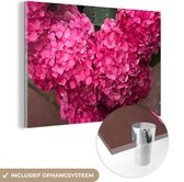 MuchoWow® Glasschilderij 90x60 cm - Schilderij acrylglas - Close up roze hortensia bloemen - Foto op glas - Schilderijen