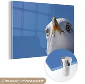 MuchoWow® Glasschilderij 60x40 cm - Schilderij acrylglas - Zeemeeuw - Vogel - Blauw - Foto op glas - Schilderijen