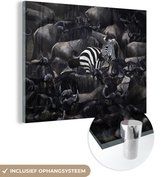 MuchoWow® Glasschilderij 120x90 cm - Schilderij acrylglas - Zebra - Dieren - Close up - Foto op glas - Schilderijen