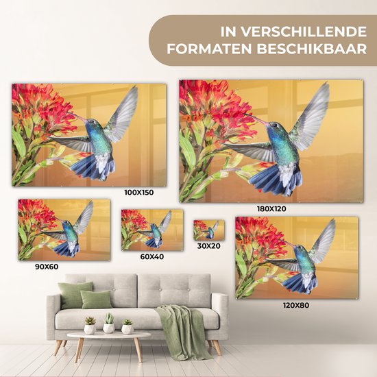 Colibri aux couleurs vives à côté d'une belle fleur rouge Plexiglas 60x40 cm - Tirage photo sur Glas (décoration murale en plexiglas)