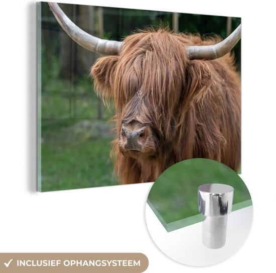 MuchoWow® Peinture sur Verre - Highlander écossais - Nature - Portrait - 90x60 cm - Peintures sur Verre Acrylique - Photo sur Glas