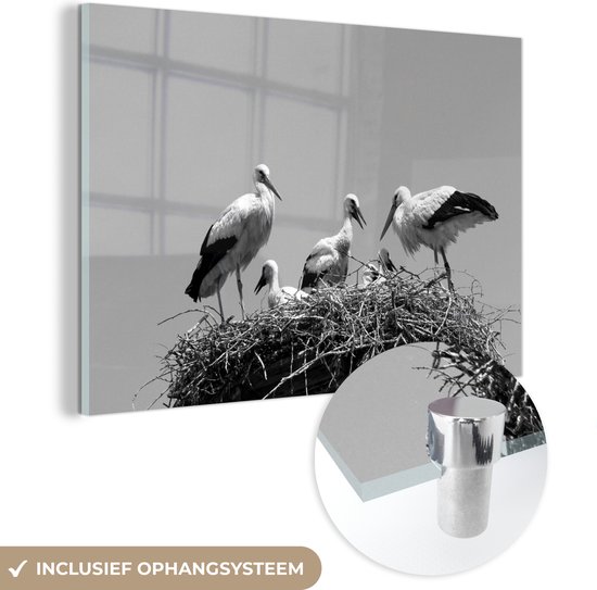 MuchoWow® Glasschilderij 90x60 cm - Schilderij acrylglas - Nest vol met ooievaars - zwart wit - Foto op glas - Schilderijen