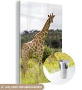 MuchoWow® Glasschilderij 80x120 cm - Schilderij acrylglas - Giraf - Planten - Dier - Foto op glas - Schilderijen