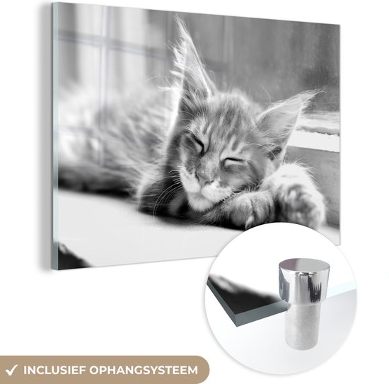 MuchoWow - Tableau sur toile Animaux - Noir - Blanc - Profil