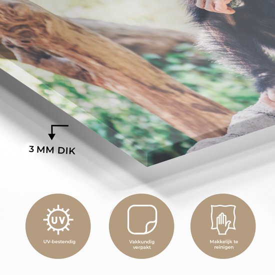 MuchoWow® Peinture sur verre 60x40 cm - Peinture sur verre acrylique - Singe chimpanzé en gros plan assis dans la forêt - Photo sur verre - Peintures