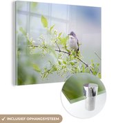 MuchoWow® Glasschilderij 160x120 cm - Schilderij acrylglas - Tuinfluiter op een groene plant - Foto op glas - Schilderijen