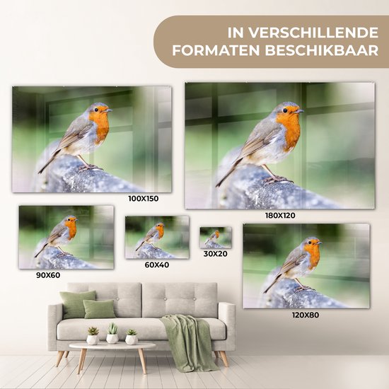 Robin sur une clôture en bois Plexiglas 120x80 cm - Tirage photo sur Glas (décoration murale en plexiglas)