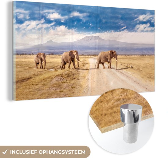 MuchoWow® Glasschilderij 80x40 cm - Schilderij acrylglas - Drie overstekende olifanten - Foto op glas - Schilderijen