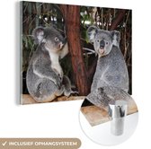 MuchoWow® Glasschilderij 180x120 cm - Schilderij acrylglas - Twee koalaberen op een tak - Kinderen - Jongens - Meiden - Foto op glas - Schilderijen