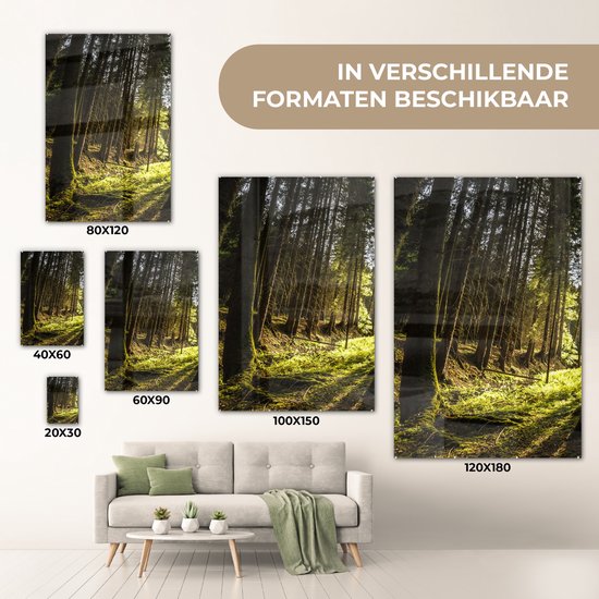 MuchoWow® Peinture sur verre - Arbre - Nature - Soleil - Forêt - 100x150 cm - Peintures sur verre acrylique - Photo sur Glas