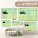 Product afbeelding  8
