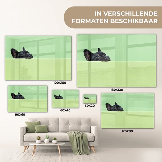 ® Glasschilderij 30x20 cm - Schilderij acrylglas - Franse Bulldog - Groen - Zwart - Foto op glas - Muurdecoratie woonkamer - Wanddecoratie slaapkamer - Schilderijen