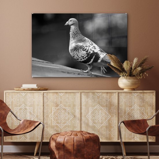 Peinture sur verre MuchoWow® - Pigeon voyageur sur un toit - noir et blanc - 120x80 cm - Peintures sur verre acrylique - Photo sur Glas