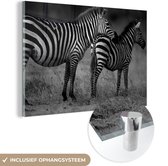 MuchoWow® Glasschilderij 60x40 cm - Schilderij acrylglas - Zebra's op de savanne - zwart wit - Foto op glas - Schilderijen