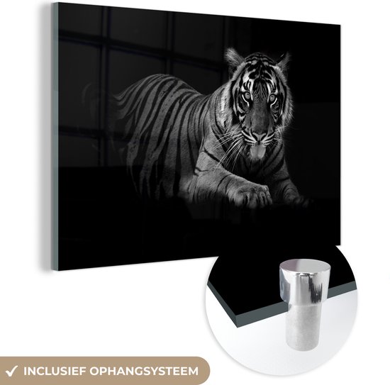 MuchoWow® Glasschilderij 120x80 cm - Schilderij acrylglas - Rustende Sumatraanse tijger - zwart wit - Foto op glas - Schilderijen