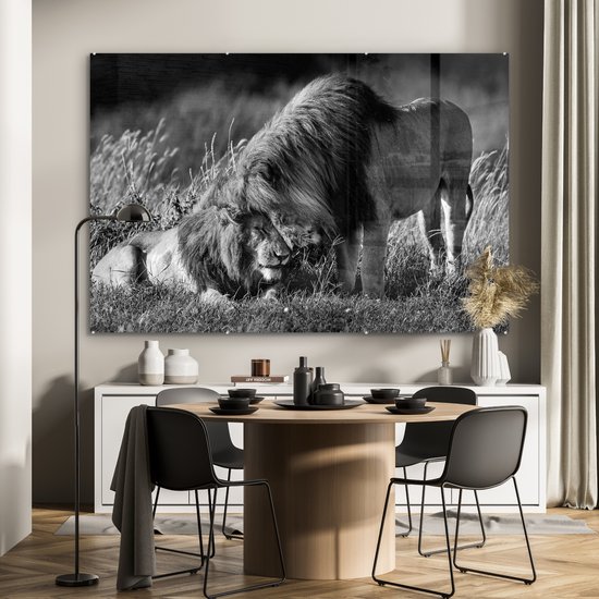 MuchoWow® Peinture sur Verre - Lions enlacés - noir et blanc - 180x120 cm - Peintures sur Verre Peintures - Photo sur Glas