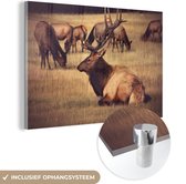 MuchoWow® Glasschilderij 120x80 cm - Schilderij acrylglas - Herten - Gewei - Bruin - Foto op glas - Schilderijen