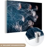 MuchoWow® Glasschilderij 30x20 cm - Schilderij acrylglas - Zeedieren - Kwal - Water - Foto op glas - Schilderijen