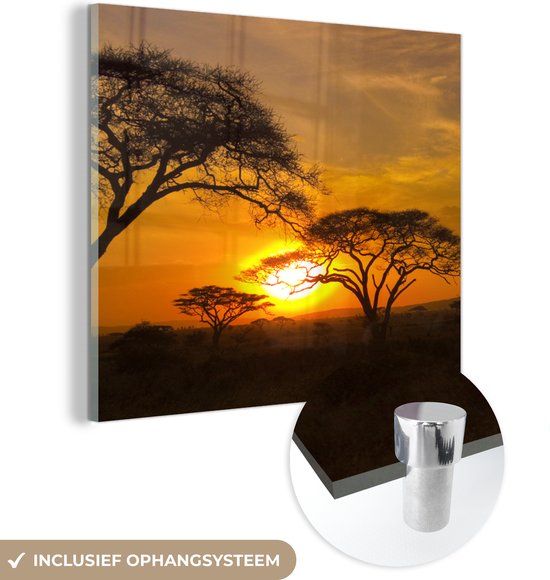 MuchoWow® Glasschilderij 90x90 cm - Schilderij acrylglas - Afrika - Zon - Safari - Foto op glas - Schilderijen