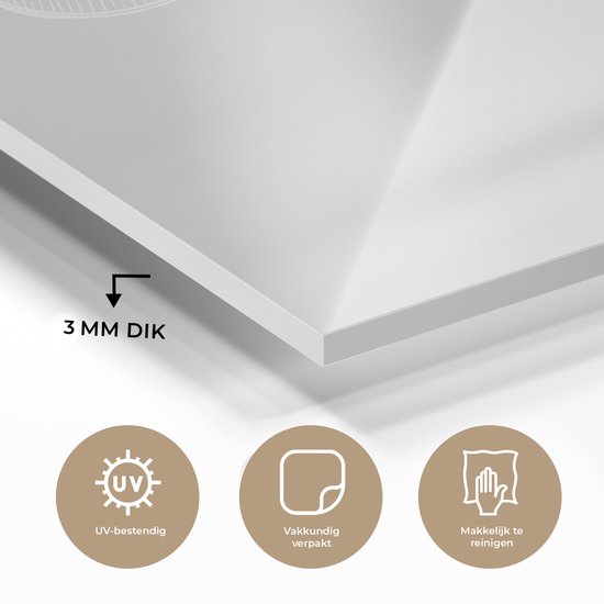 Peinture sur Verre - Dinosaurus - Zwart - Wit - Citations - 50x50 cm - Peintures sur Verre Peintures - Photo sur Glas