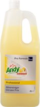 Andy Allesreiniger, Vloeibaar, Citroen, 2 liter, Geel (fles 2 liter)