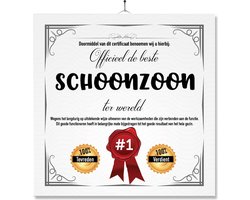 Tegel Met Opdruk | Verjaardag kado | Toilet WC | Officieel de beste schoonzoon ter wereld