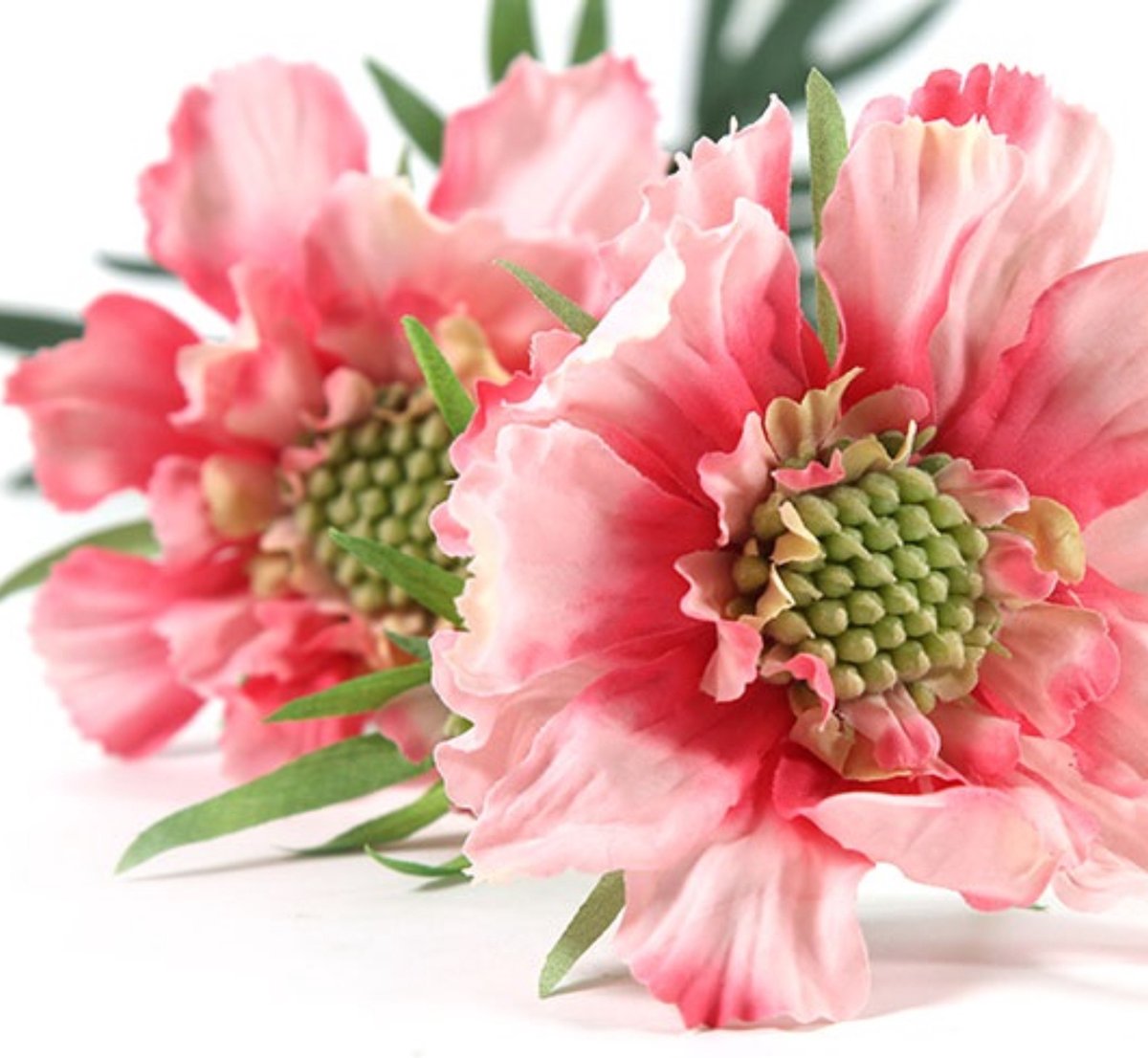Petit Pot Fleurs Céramique Fleurs Artificielles AUSHOPLAH Avec Vase - Roses Décoratives Pour Mariage, Maison Ou Bureau - Lot E18 Petit Pot Fleurs Céramique Fleurs Artificielles AUSHOPLAH Avec Vase - Roses Décoratives Pour Mariage, Maison Ou Bureau - Lot E18