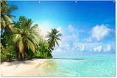 Muurdecoratie Zee - Palmboom - Strand - Tropisch - Blauw - Groen - 180x120 cm - Tuinposter - Tuindoek - Buitenposter