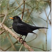 Tissu de jardin Vogel - Merle - Branches - Animaux - 100x100 cm