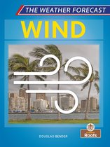 The Weather Forecast - Wind