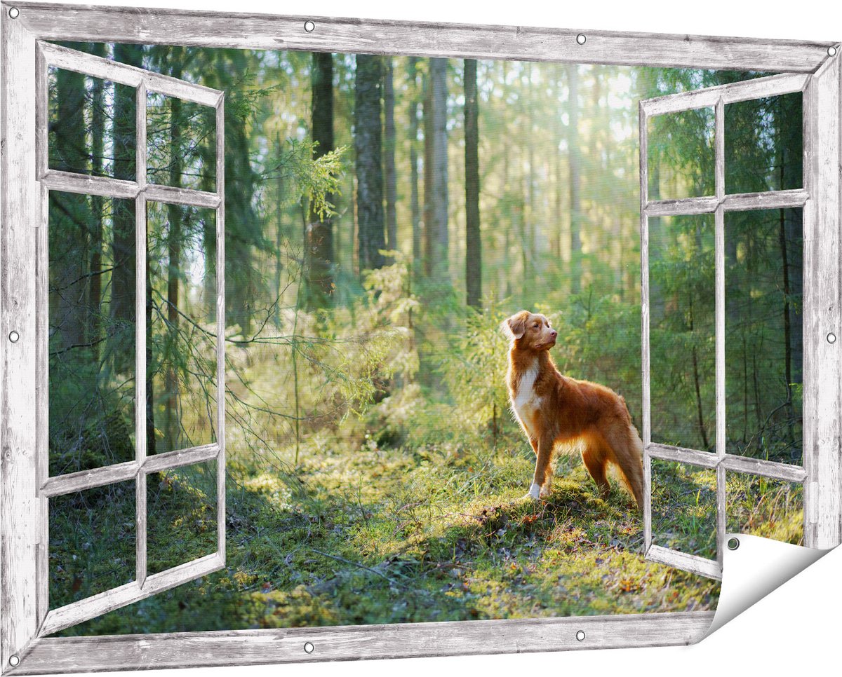 Gards Tuinposter Doorkijk Retriever Hond in het Bos met Zon - 150x100 cm - Tuindoek - Tuindecoratie - Wanddecoratie buiten - Tuinschilderij Grijs