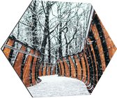 WallClassics - Dibond Hexagon - Hekwerk in Ondergesneeuwd Bos - 80x69.6 cm Foto op Hexagon (Met Ophangsysteem)