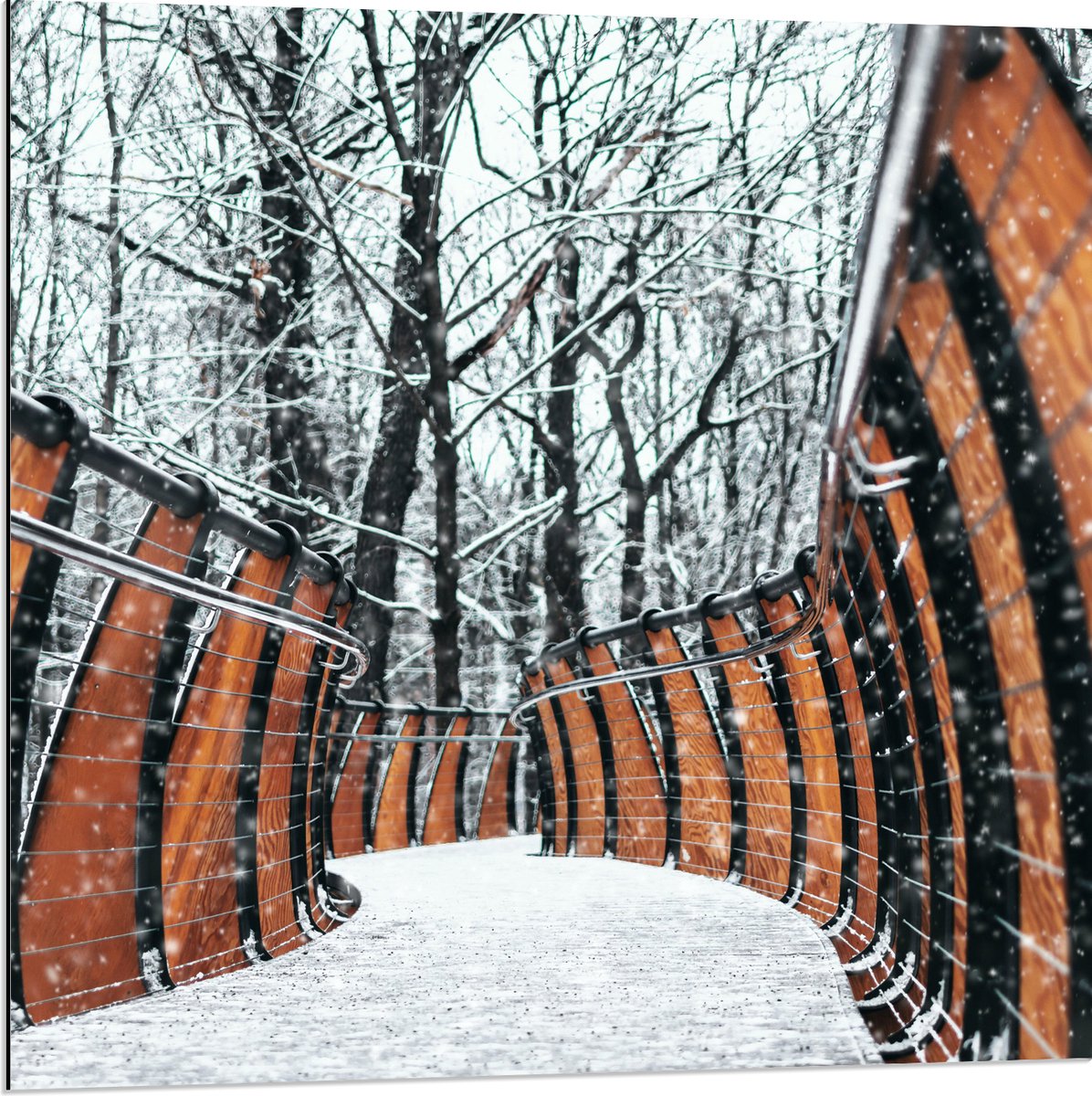 Dibond - Hekwerk in Ondergesneeuwd Bos - 80x80 cm Foto op Aluminium (Met Ophangsysteem)
