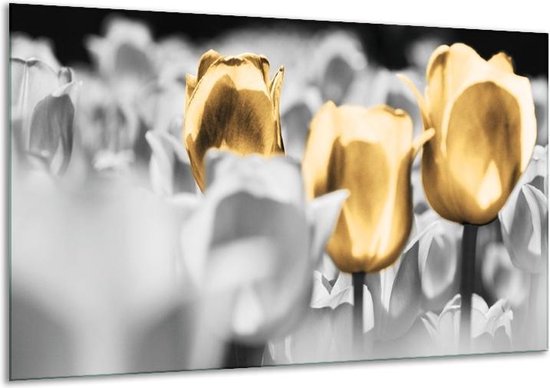 Glasschilderij Tulpen - Goud, Grijs, Wit - 120x70cm 1Luik - Foto Op Glas - Geen Acrylglas Schilderij - GroepArt 6000+ Glasschilderijen Art Collectie - Wanddecoratie - Woonkamer - Slaapkamer