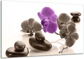 Glasschilderij Orchidee - Paars, Grijs, Wit - 120x70cm 1Luik - Foto Op Glas - Geen Acrylglas Schilderij - GroepArt 6000+ Glasschilderijen Art Collectie - Wanddecoratie - Woonkamer - Slaapkamer