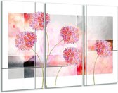 Glasschilderij Modern, Bloemen - Grijs, Roze - 120x80cm 3Luik - Foto Op Glas - Geen Acrylglas Schilderij - GroepArt 6000+ Glas Art Collectie - Maatwerk Mogelijk