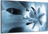 Schilderij Op Canvas - Groot -  Bloem - Blauw - 140x90cm 1Luik - GroepArt 6000+ Schilderijen Woonkamer - Schilderijhaakjes Gratis