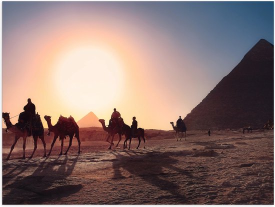 Poster (Mat) - Groep Kamelen lopend door Woestijn bij paramides - 80x60 cm Foto op Posterpapier met een Matte look