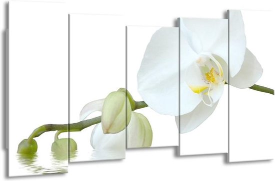 Peinture sur toile Orchidée | Blanc, vert, jaune | 150x80cm 5Liège