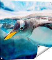 Gards Tuinposter Pingu�n Zwemt onder Water - 70x70 cm - Tuindoek - Tuindecoratie - Wanddecoratie buiten - Tuinschilderij