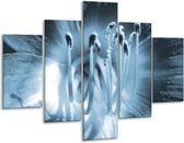 Glasschilderij -  Bloem - Blauw - 100x70cm 5Luik - Geen Acrylglas Schilderij - GroepArt 6000+ Glasschilderijen Collectie - Wanddecoratie- Foto Op Glas