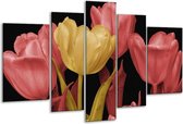 Glasschilderij Tulpen - Geel, Roze, Zwart - 170x100cm 5Luik - Foto Op Glas - Geen Acrylglas Schilderij - 6000+ Glasschilderijen Collectie - Wanddecoratie
