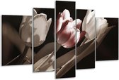 Glasschilderij Tulp - Bruin, Grijs, Wit - 170x100cm 5Luik - Foto Op Glas - Geen Acrylglas Schilderij - 6000+ Glasschilderijen Collectie - Wanddecoratie
