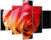 Glasschilderij -  Roos - Oranje, Rood, Zwart - 100x70cm 5Luik - Geen Acrylglas Schilderij - GroepArt 6000+ Glasschilderijen Collectie - Wanddecoratie- Foto Op Glas